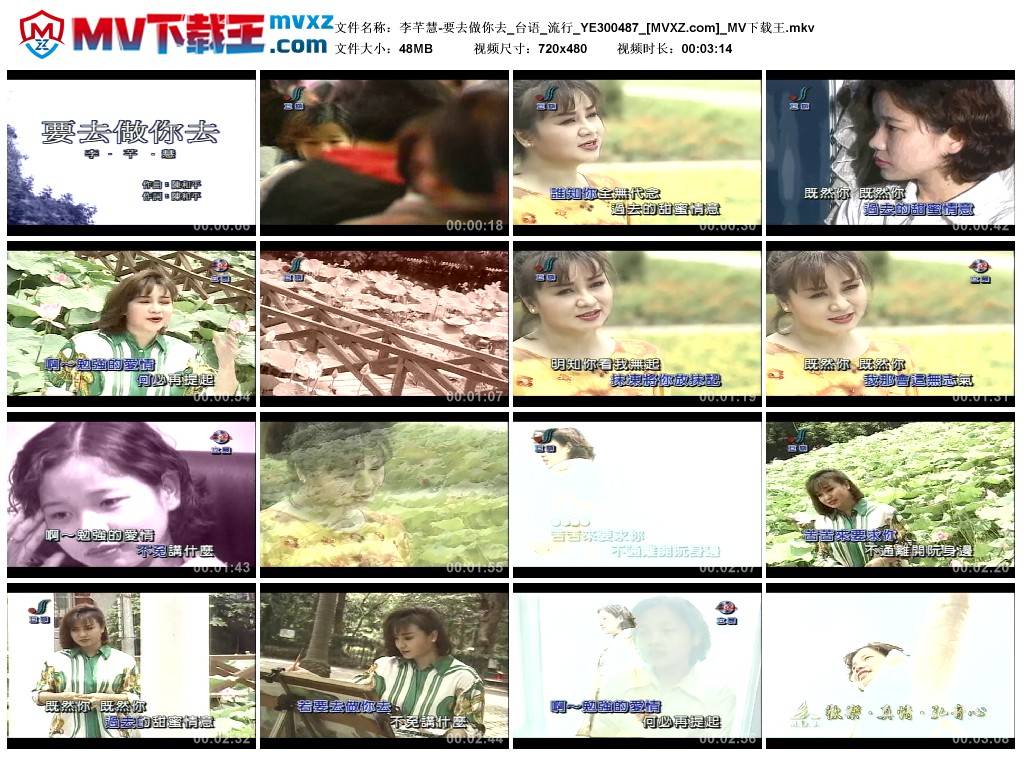 李芊慧-要去做你去_台语_流行_YE300487